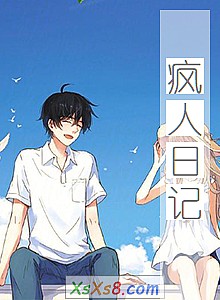 《疯人日记》小说封面