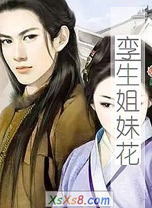 《孪生姐妹花》小说封面