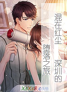 《混在红尘 深圳的堕落之旅》小说封面