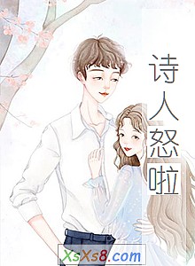 《诗人怒啦》小说封面