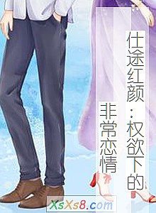 《仕途红颜:权欲下的非常恋情》小说封面