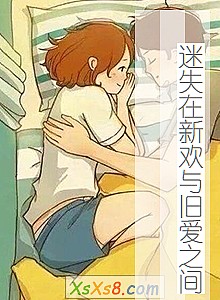 《迷失在新欢与旧爱之间》小说封面