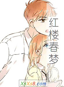 ����¥���Ρ�С˵����