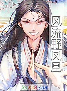 《风流野凤凰》小说封面