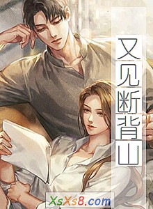 《又见断背山》小说封面