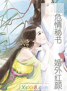 《危情秘书 婚外红颜》小说封面
