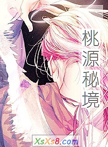 《桃源秘境》小说封面