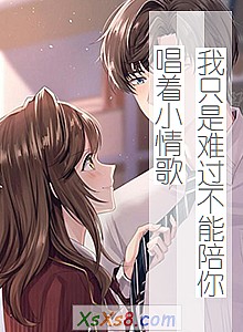 《我只是难过不能陪你唱着小情歌》小说封面