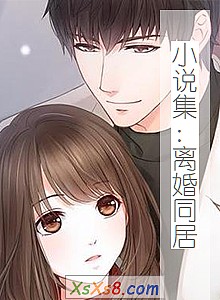 《小说集:离婚同居》小说封面