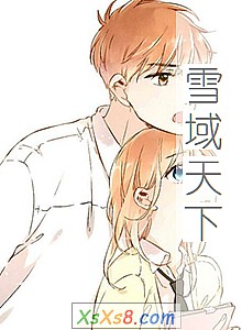 《雪域天下》小说封面