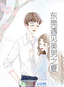 《东莞遇见美男之夏》小说封面