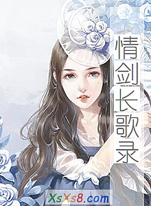 《情剑长歌录》小说封面