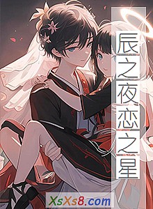 《辰之夜恋之星》小说封面