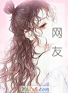 《网友》小说封面