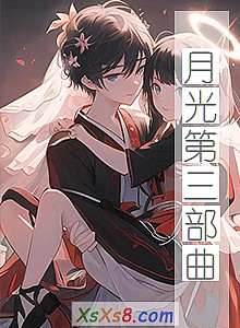 《月光第三部曲》小说封面