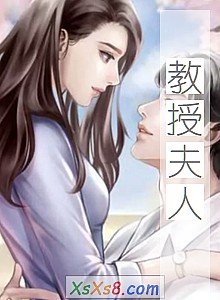 《教授夫人》小说封面