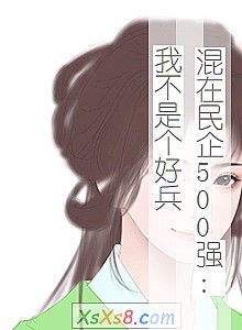 《混在民企500强:我不是个好兵》小说封面