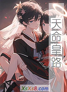 《天命皇路》小说封面