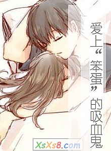 《爱上“笨蛋”的吸血鬼》小说封面