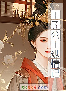 《王子公主纵情记》小说封面