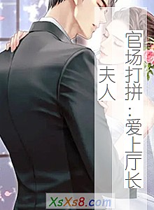 《官场打拼:爱上厅长夫人》小说封面