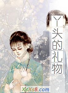 《丫头的礼物》小说封面