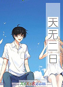 《天无二日》小说封面