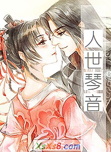 《人世琴音》小说封面