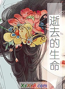 ����ȥ��������С˵����