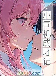 《小司机成才记》小说封面