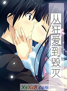 《从狂爱到毁灭》小说封面