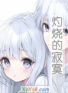 《灼烧的寂寞》小说封面