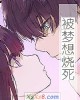 《被梦想烧死》小说封面