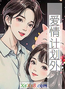 《爱情计划外》小说封面