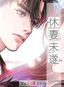 《休妻未遂》小说封面