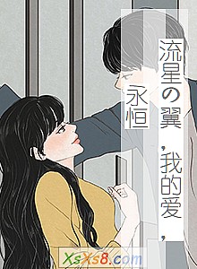 《流星の翼,我的爱,永恒》小说封面