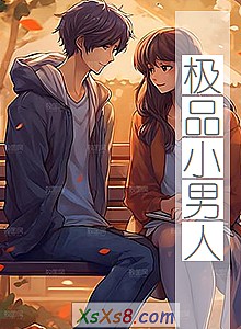 《极品小男人》小说封面