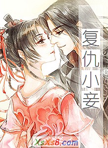 《复仇小妾》小说封面