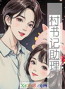 《村书记助理》小说封面