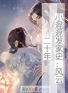 《小混混发家史:风云二十年》小说封面