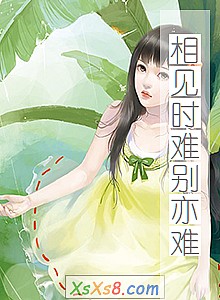 《相见时难别亦难》小说封面