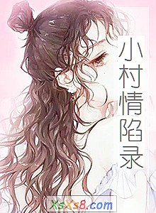 《小村情陷录》小说封面