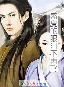 《盛夏的眼泪不再飞》小说封面