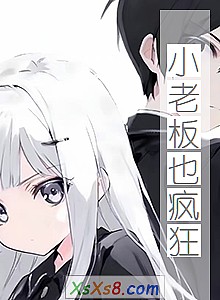 《小老板也疯狂》小说封面