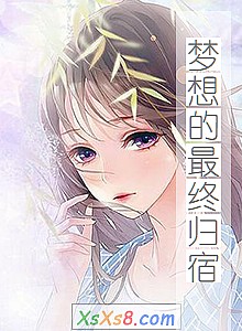 《梦想的最终归宿》小说封面