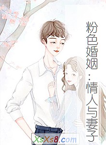 《粉色婚姻:情人与妻子》小说封面