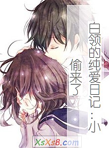 《白领的纯爱日记:小偷来了》小说封面