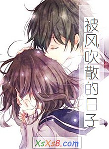 《被风吹散的日子》小说封面