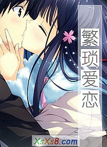 《繁琐爱恋》小说封面