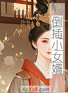 《倒插小女婿》小说封面